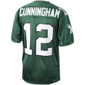My Store P.Eagles 1992 #12 Randall Cunningham Mitchell & Ness Green Authentic Throwback Retired Player Puhic Stitched Jerseys
